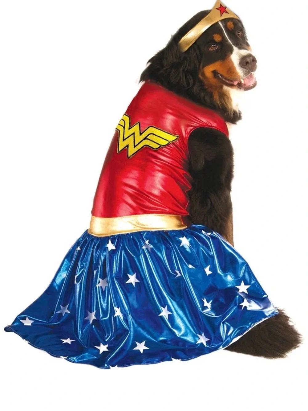 Wonder Girl Red & Blue Superhero Costume for dogs